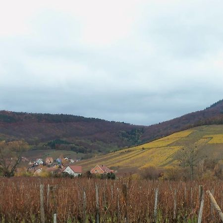 Apartment Route Du Vin Centre Alsace أورشويليه الغرفة الصورة