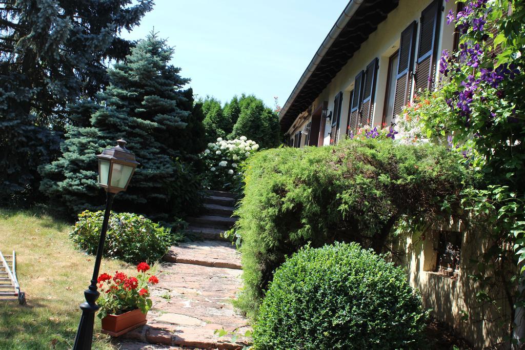 Apartment Route Du Vin Centre Alsace أورشويليه الغرفة الصورة